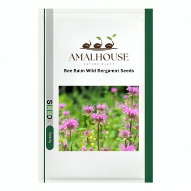 Bee Balm Wild Bergamot - 100 PCS Seeds