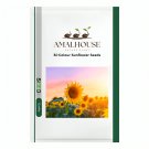 Bi-Colour Sunflower - 50 PCS Seeds