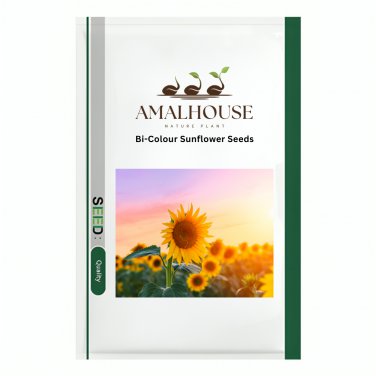 Bi-Colour Sunflower - 50 PCS Seeds