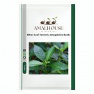 Bitter Leaf Vernonia Amygdalina - 5 PCS Seeds