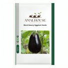 Black Beauty Eggplant - 200 PCS Seeds