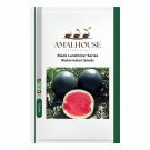 Black Landmine' Series Watermelon - 25 PCS Seeds