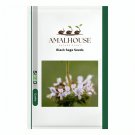 Black Sage - 100 PCS Seeds