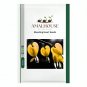 Bleeding Heart - 20 PCS Seeds