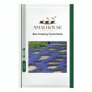 Blue Creeping Thyme - 100 PCS Seeds