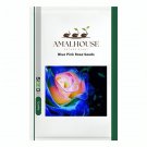 Blue Pink Rose - 100 PCS Seeds