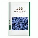 Blueberry - 200 PCS Seeds