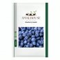 Blueberry - 200 PCS Seeds