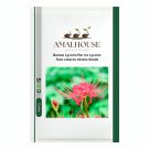 Bonsai Lycoris flor no Lycoris foco colores mixtos - 100 PCS Seeds
