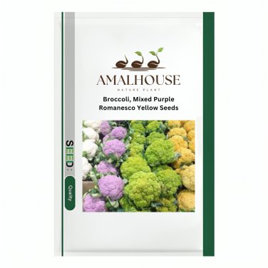 Broccoli, Mixed Purple Romanesco Yellow - 20 PCS Seeds