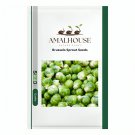 Brussels Sprout - 5 PCS Seeds
