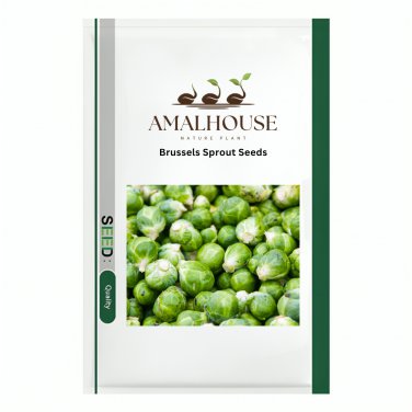 Brussels Sprout - 5 PCS Seeds