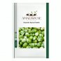 Brussels Sprout - 5 PCS Seeds