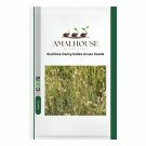 Buchloe Dactyloides Grass - 50 PCS Seeds