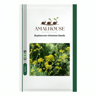 Bupleurum chinense - 300 PCS Seeds