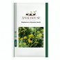 Bupleurum chinense - 300 PCS Seeds