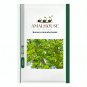 Bursera simaruba - 10 PCS Seeds