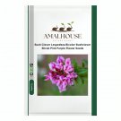 Bush Clover Lespedeza Bicolor Bushclover Shrub Pink Purple Flower - 50 PCS Seeds