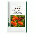Butterfly MilkweedMonarch Flower - 400 PCS Seeds