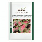 Caladium Bonsai Plants Assorted Colors Perennial Flowers Potted Plants - 100 PCS Seeds