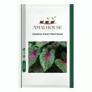Caladium Dwarf Plant - 200 PCS Seeds