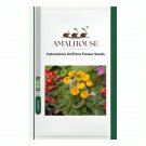 Calceolaria Uniflora Flower - 30 PCS Seeds