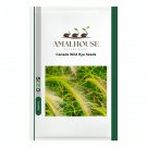 Canada Wild Rye - 200 PCS Seeds