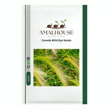 Canada Wild Rye - 200 PCS Seeds