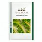 Canada Wild Rye - 200 PCS Seeds