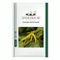 Cananga odorata - 100 PCS Seeds