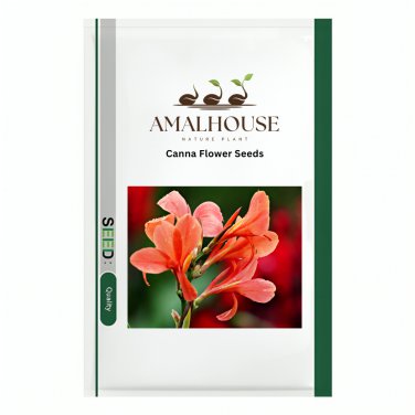 Canna Flower - 10 PCS Seeds