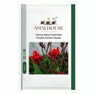Canna Indica Fresh Red Double Flowers - 15 PCS Seeds