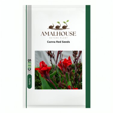Canna Red - 20 PCS Seeds