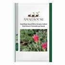 Castilleja Sessiliflora Downy Indian Paintbrush Paintedcup - 50 PCS Seeds