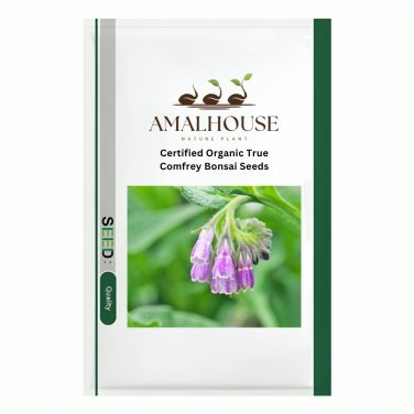 Certified Organic True Comfrey Bonsai - 100 PCS Seeds