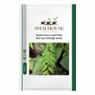 Ceylon Curry Leaf Plant Murraya Koenigii - 50 PCS Seeds