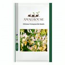 Chinese Honeysuckle - 30 PCS Seeds