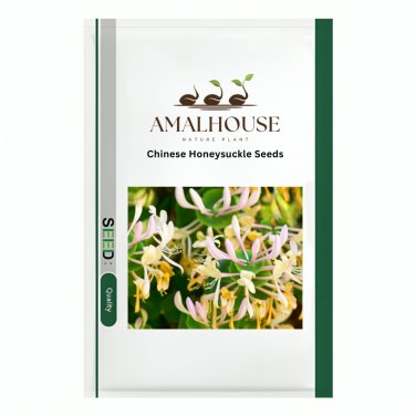 Chinese Honeysuckle - 30 PCS Seeds