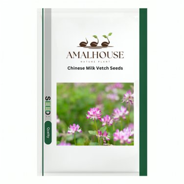 Chinese Milk Vetch - 100 PCS Seeds