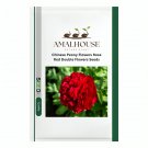Chinese Peony Flowers Rose Red Double Flowers - 10 PCS Seeds