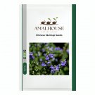 Chinese Skullcap - 50 PCS Seeds