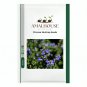 Chinese Skullcap - 50 PCS Seeds