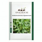 CHIPILIN Guatemalan Vegetable - 20 PCS Seeds