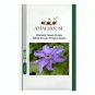 Clematis Flower Purple White Bi-color Flowers - 100 PCS Seeds