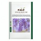 Climbing Wisteria Flower Courtyard Garden Flowers Japanese Wisteria Fresh Viable - 20 PCS Seeds