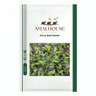 Clove Basil - 100 PCS Seeds