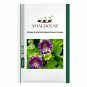 Cobee VioletteCobaeaFlower - 25 PCS Seeds
