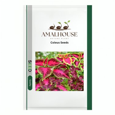 Coleus - 100 PCS Seeds