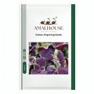 Coleus King Kong - 100 PCS Seeds