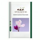 Colorful Cyclamen Flores - 200 PCS Seeds